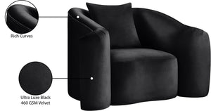 Meridian Furniture Destin Sculptural Velvet Accent Chair with Organic Curves for Modern Living Room Comfort Black 44052Black-C
