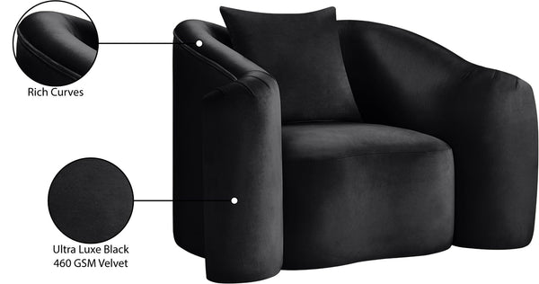 Meridian Furniture Destin Sculptural Velvet Accent Chair with Organic Curves for Modern Living Room Comfort Black 44052Black-C