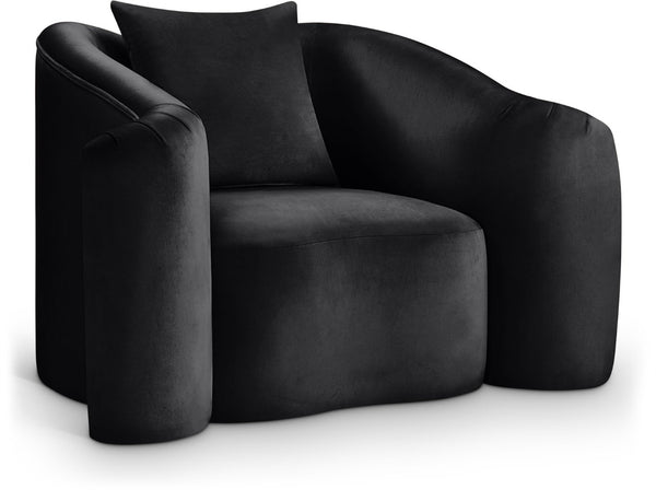 Meridian Furniture Destin Sculptural Velvet Accent Chair with Organic Curves for Modern Living Room Comfort Black 44052Black-C