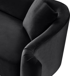 Meridian Furniture Destin Sculptural Velvet Accent Chair with Organic Curves for Modern Living Room Comfort Black 44052Black-C