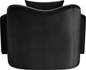Meridian Furniture Destin Sculptural Velvet Accent Chair with Organic Curves for Modern Living Room Comfort Black 44052Black-C