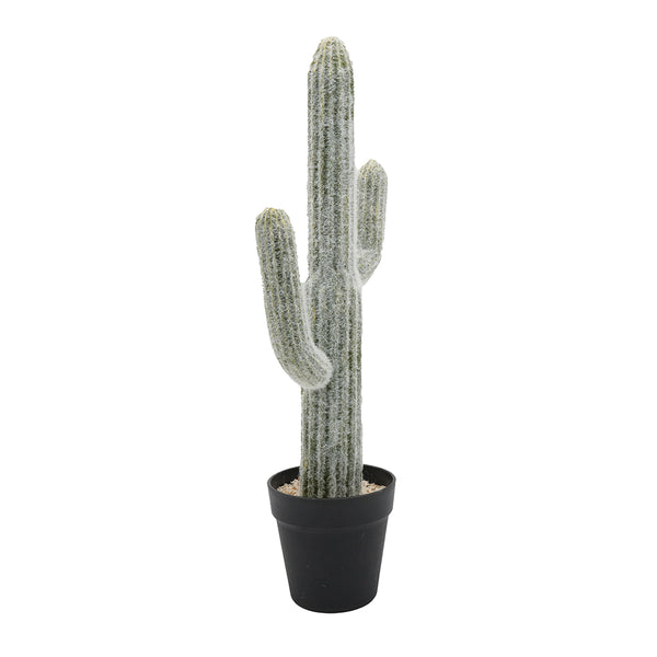 English Elm 8x5x24.5"H Lifelike Saguaro Cactus in Black Pot — Textured Two-Tone Artificial Plant for Low-Light Décor W2078P294239