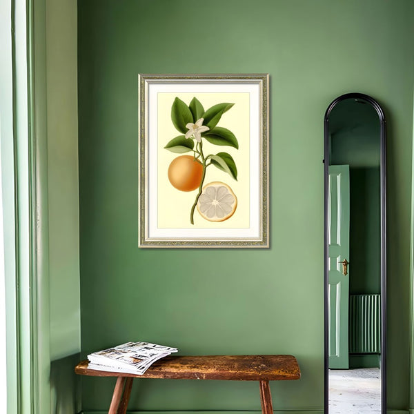 English Elm Set Of 2 Orange Fruit Botanical Prints In Solid Wood Frames - Stunning Kitchen Wall Art Decor 18X24 T3976P383225-GIGA