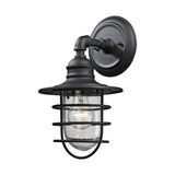 Vandon 13'' High 1-Light Outdoor Sconce