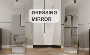 English Elm The Arched Gold Aluminum Full Length Floor Mirror for Bedroom Entryway Dressing Room W1151140053