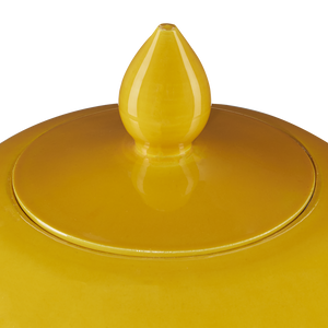 Imperial Decorative Porcelain Ginger Jar - Exquisite Handcrafted Artistry with Rich Historical Roots