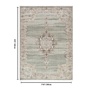 English Elm Majestic Medallion Traditional Area Rug Stain Resistant Polyester Living Room Accent B186P428873