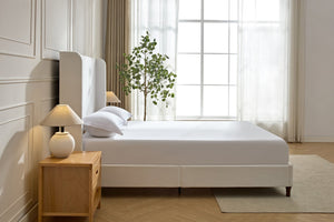 English Elm Harper Tall Upholstered Bed – 54" Headboard, Cream Chenille, Easy Assembly, No Box Spring Needed! B083P227886