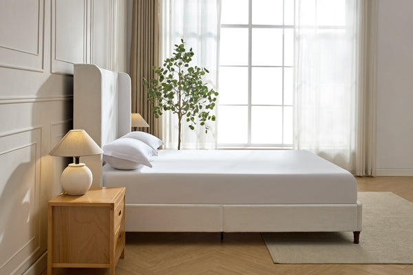 English Elm Harper Tall Upholstered Bed – 54" Headboard, Cream Chenille, Easy Assembly, No Box Spring Needed! B083P227886