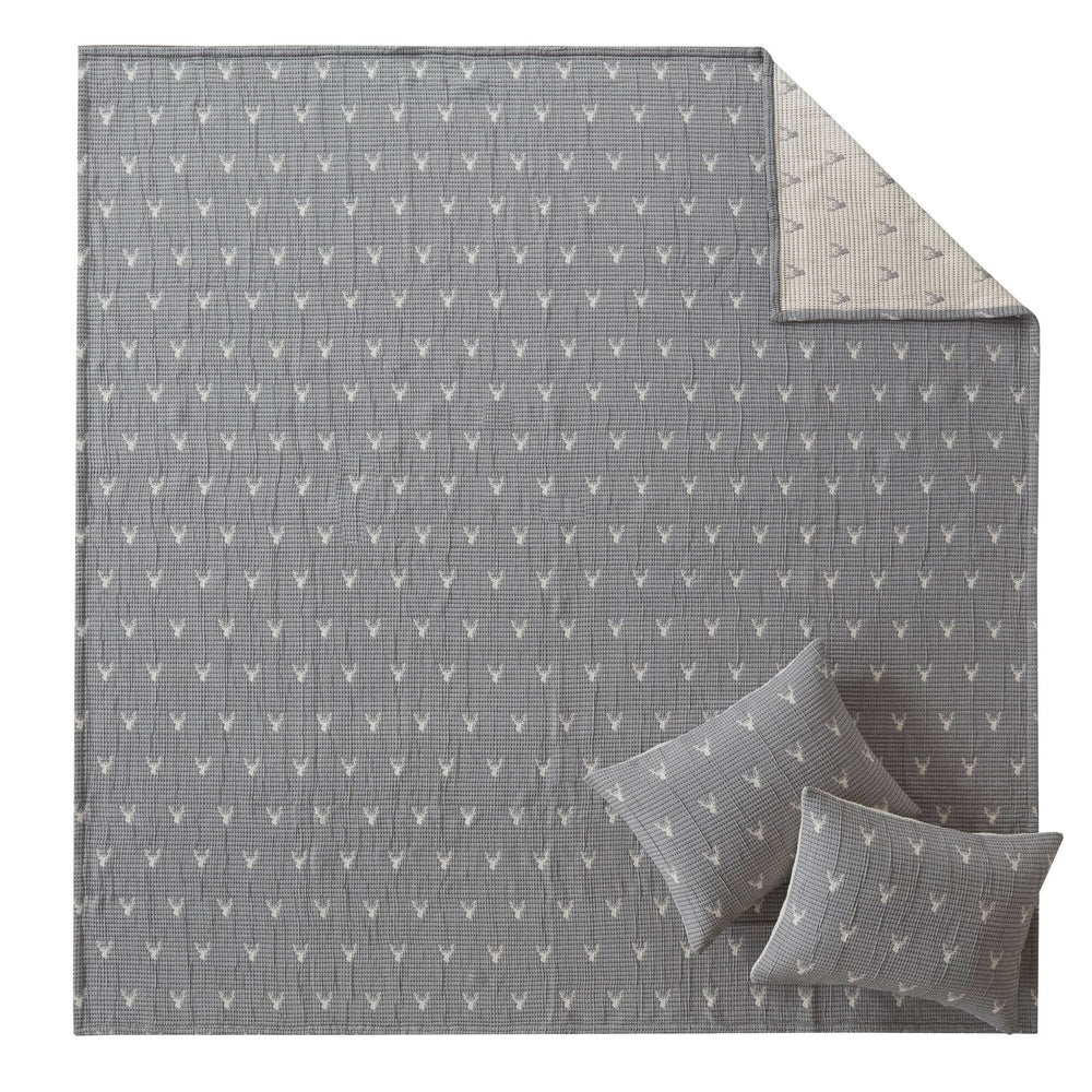 JLA Home Woolrich - Coverlet Rustic Stag Head Matelassé Set — Reversible, Ultra-Soft, OEKO-TEX Certified, Oversized Comfort Grey WR13-4084