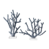 Blue Coral Set of 2