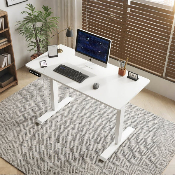 English Elm 55"×24" Electric Sit Stand Desk Steel Frame with Memory Presets and Usb-c Charging Port White W614P376324