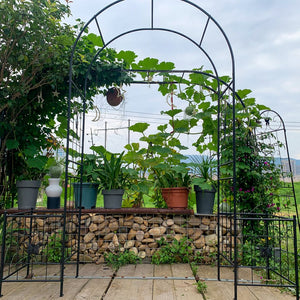 English Elm Garden Arch Arbor Trellis For Climbing Plants - Elegant Metal Wedding Arch For Outdoor Events & Patios W840P321537