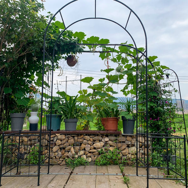 English Elm Garden Arch Arbor Trellis For Climbing Plants - Elegant Metal Wedding Arch For Outdoor Events & Patios W840P321537