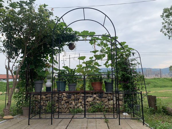 English Elm Garden Arch Arbor Trellis With Gate - Durable Metal Design For Climbing Plants, Weddings & Patios W840P321539