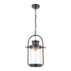 Wexford 12'' Wide 1-Light Outdoor Pendant - Matte Black 46672/1 Elk Lighting