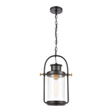 Wexford 12'' Wide 1-Light Outdoor Pendant - Matte Black 46672/1 Elk Lighting