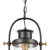 Wexford 12'' Wide 1-Light Outdoor Pendant - Matte Black 46672/1 Elk Lighting