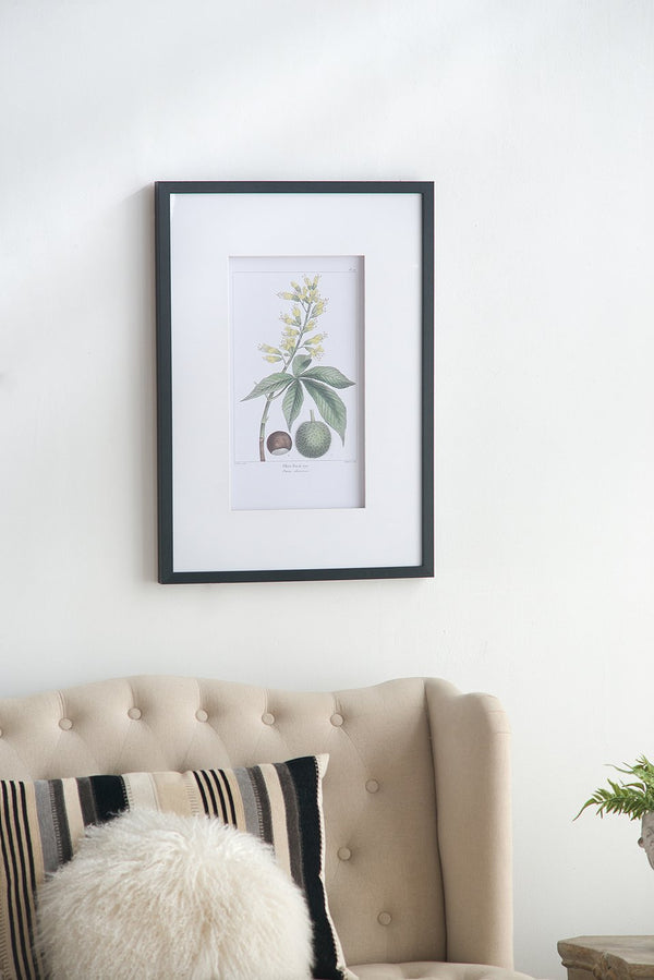 English Elm 19.7x27.6" Botanical Wall Arts Set of 2 - Vibrant Framed Floral & Fruit Prints for Living Room Decor, Hallway Elegance W2078P390181