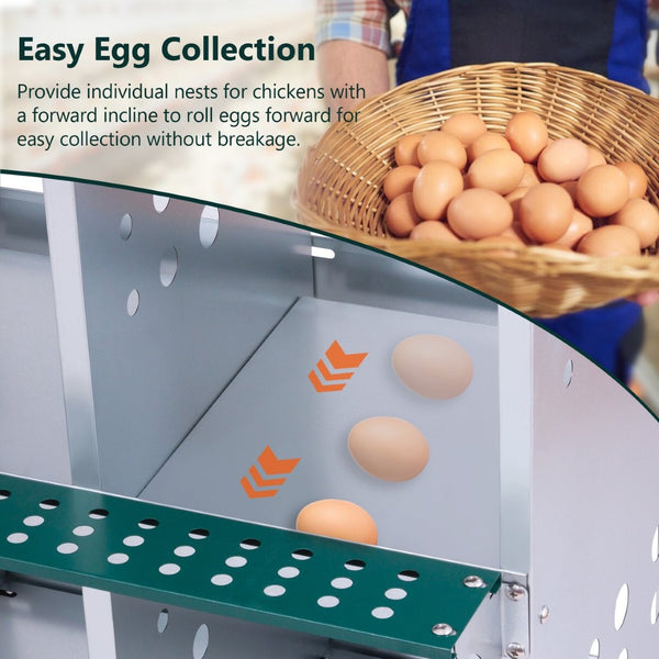 English Elm 10-bay Galvanized Steel Wall Mount Nesting Box for Chickens Ducks and Backyard Flocks W1422P355413
