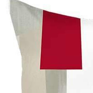 Homeroots Set Of Two 18" X 18" Gray White Black And Red Abstract Zippered Handmade Polyester Throw Pillow   471781