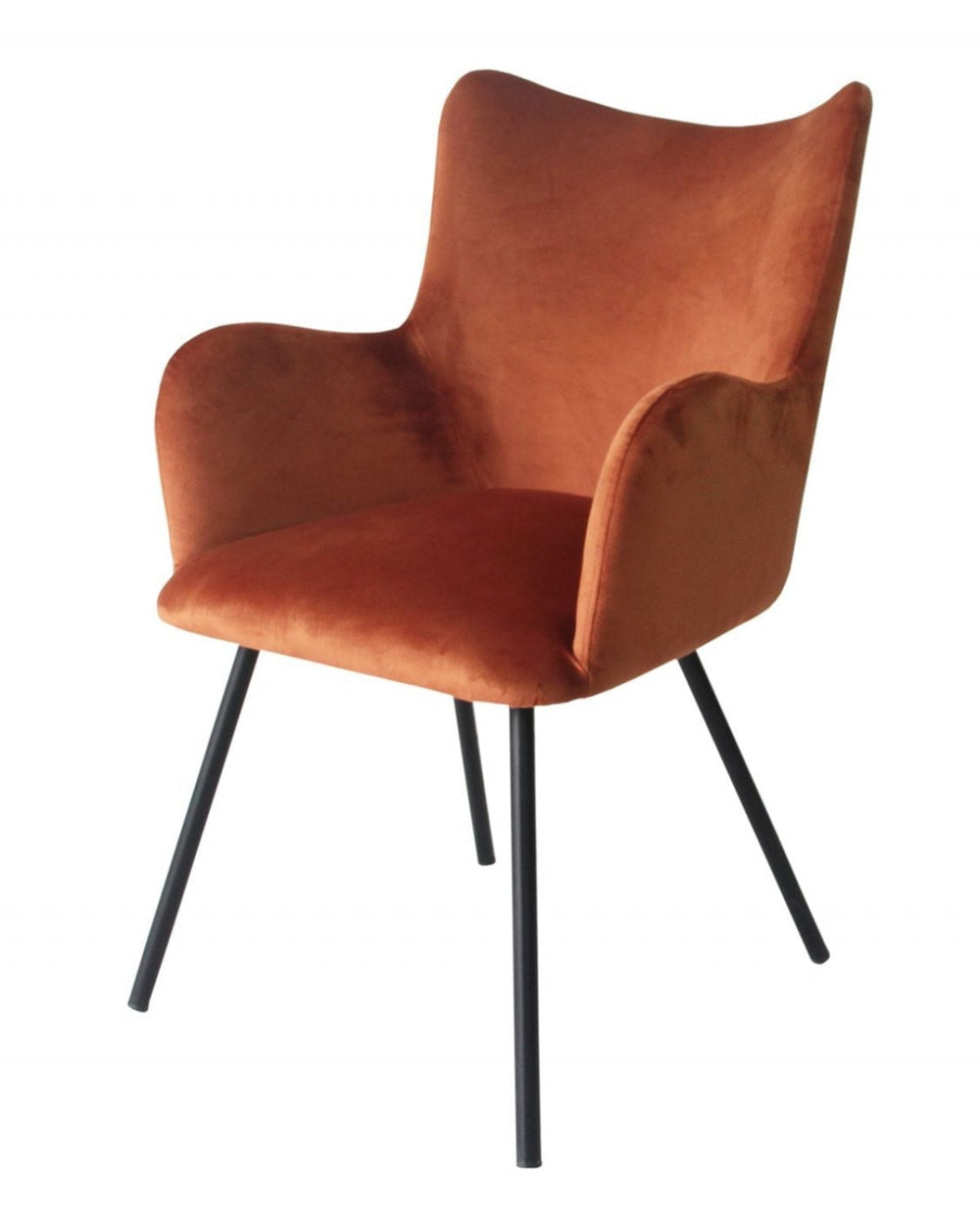 Homeroots Rust Orange Curvy Velvet And Black Modern Dining Chair  Metal 472244