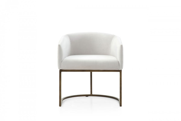 Homeroots White Velvet Brass Modern Dining Chair  Metal 472251