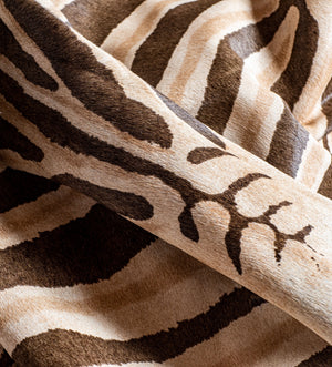 Homeroots 6' X 7' Zebra Chocolate And Natural Cowhide Handmade Area Rug  Cowhide 473905