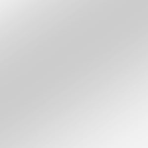 Homeroots 51" Silver Metal Framed Accent Mirror  Glass 474697