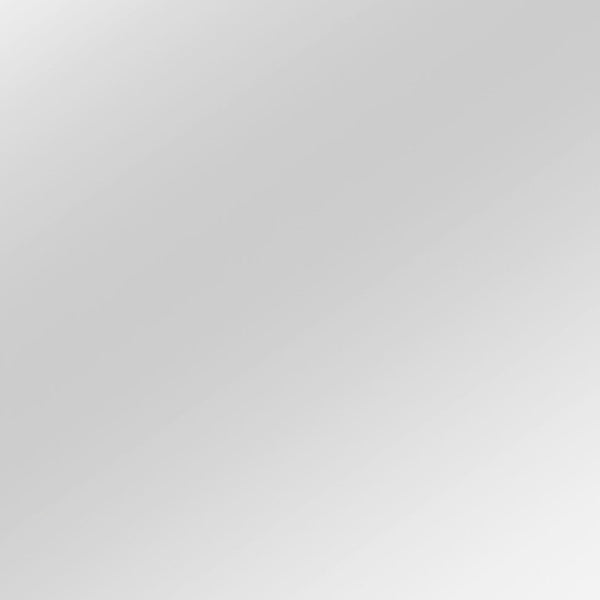 Homeroots 51" Silver Metal Framed Accent Mirror  Glass 474697