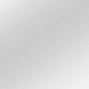 Homeroots 59" Silver Metal Framed Accent Mirror  Glass 474700