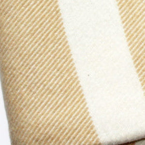 HomeRoots Plush Multi Beige Plaid Throw Blanket with Luxurious Tassels – Cozy, Stylish & Versatile Home Accent 475706