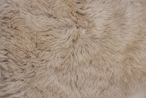 Homeroots 5' X 6' Taupe Wool Sheepskin Handmade Area Rug  Wool 476626
