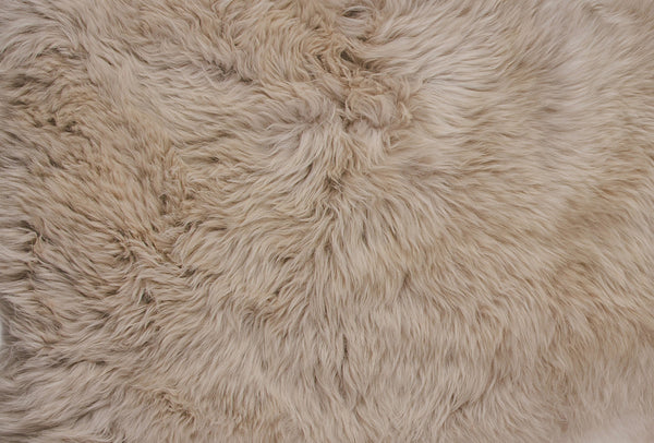 Homeroots 5' X 6' Taupe Wool Sheepskin Handmade Area Rug  Wool 476626