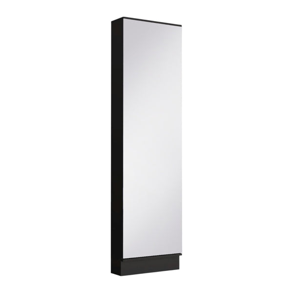HomeRoots Black Modern Shoe Rack with Full-Length Mirror - 10-Pair Storage for Entryway, Closet & Bedroom 478439