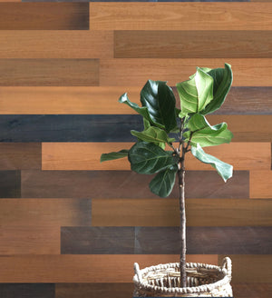 Homeroots 5" X 48" Thermo Treated Brown Rustic Wood Large Wall Plank Set  Manufactured Wood 478480