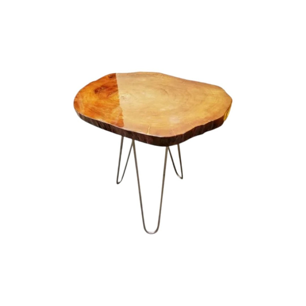 HomeRoots 24" Live Edge Natural Wood End Table with Sturdy Silver Iron Base – Modern Industrial Design, Versatile Use 478599