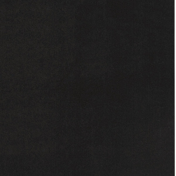 Homeroots 9' X 12' Black Stain Resistant Indoor Outdoor Area Rug  Polypropylene 479448