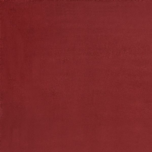 Homeroots 5' X 7' Brick Red Stain Resistant Indoor Outdoor Area Rug  Polypropylene 479479