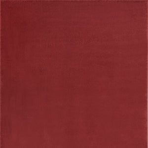 Homeroots 5' X 7' Brick Red Stain Resistant Indoor Outdoor Area Rug  Polypropylene 479479