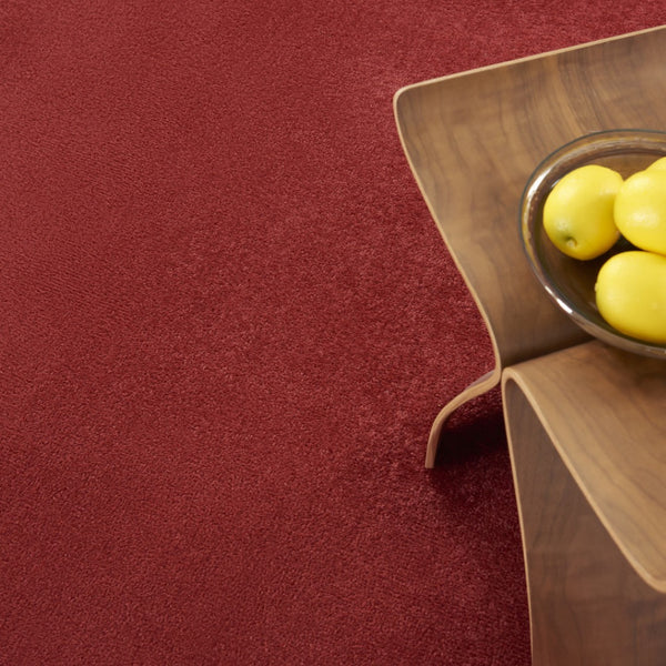 HomeRoots 6' X 9' Versatile Brick Red Stain-Resistant Area Rug for Indoor & Outdoor Spaces, Easy Care! 479480