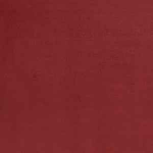 Homeroots 6' X 9' Brick Red Stain Resistant Indoor Outdoor Area Rug  Polypropylene 479480