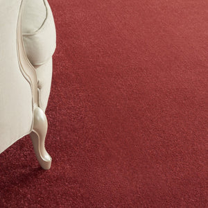 HomeRoots 8' X 10' Brick Red Stain Resistant Area Rug - Stylish, Durable Indoor/Outdoor Solution for Homes! 479484