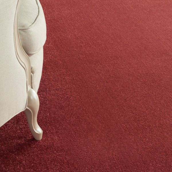 HomeRoots 8' X 10' Brick Red Stain Resistant Area Rug - Stylish, Durable Indoor/Outdoor Solution for Homes! 479484
