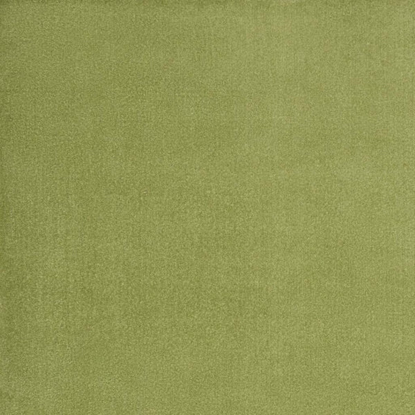HomeRoots 10' X 14' Green Area Rug - Versatile Indoor/Outdoor Comfort, Durable Design for Every Space Style! 479487