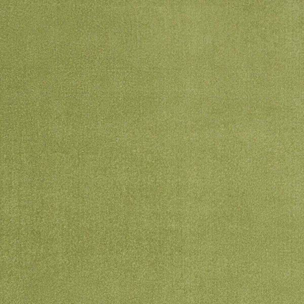 HomeRoots 6' X 9' Green Area Rug - Vibrant, Durable Indoor & Outdoor Carpet for Patios, Porches, and More! 479493