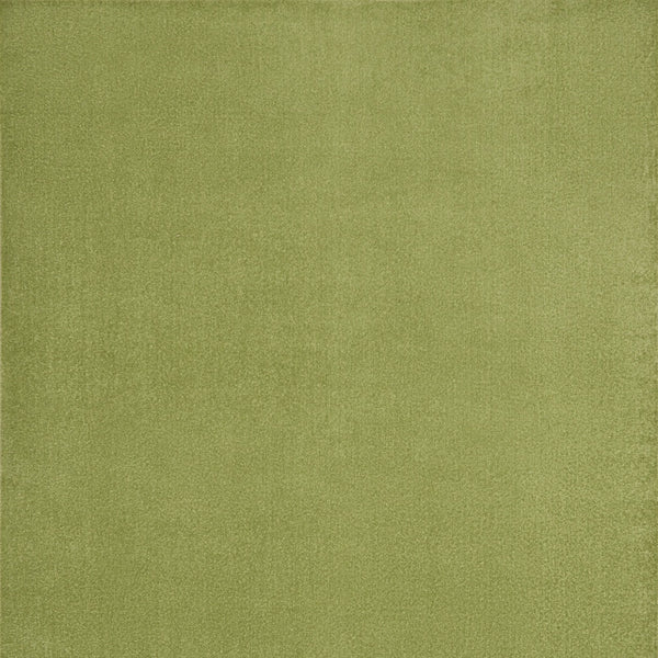 Homeroots 7' X 10' Green Non Skid Indoor Outdoor Area Rug  Polypropylene 479495