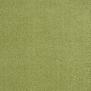 Homeroots 7' X 10' Green Non Skid Indoor Outdoor Area Rug  Polypropylene 479495