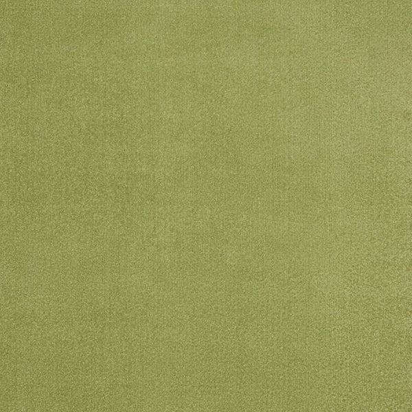HomeRoots 8' X 10' Green Indoor Outdoor Area Rug - Durable, Pet-Friendly, Versatile Design for All Spaces 479497