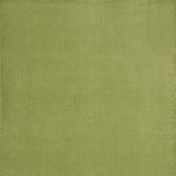 HomeRoots 8' X 10' Green Indoor Outdoor Area Rug - Durable, Pet-Friendly, Versatile Design for All Spaces 479497